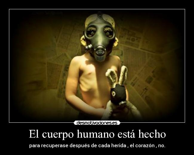 El cuerpo humano está hecho -