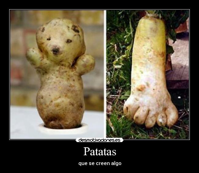 Patatas - que se creen algo