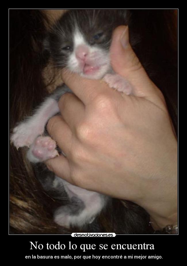 No todo lo que se encuentra -