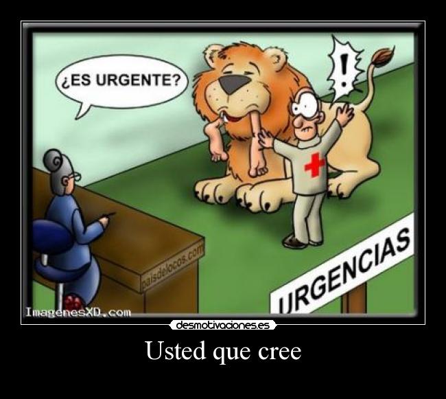 Usted que cree -