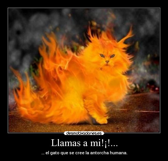 Llamas a mi!¡!... -