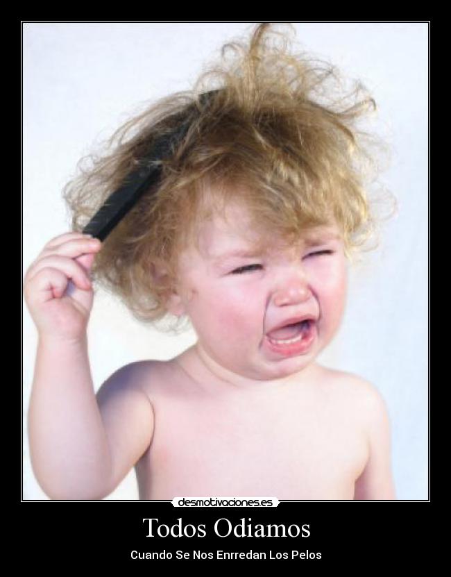 Todos Odiamos -