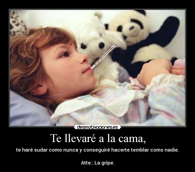 carteles llevare cama desmotivaciones