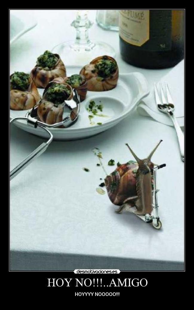 HOY NO!!!..AMIGO - HOYYYY NOOOOO!!!