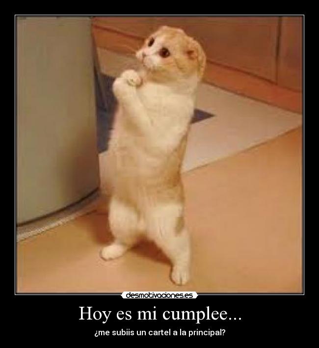 Hoy es mi cumplee... - ¿me subiis un cartel a la principal?