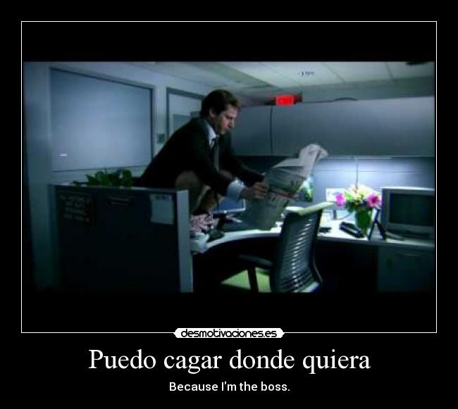 Puedo cagar donde quiera - Because Im the boss.