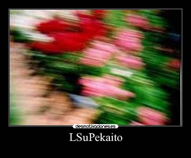 LSuPekaito -