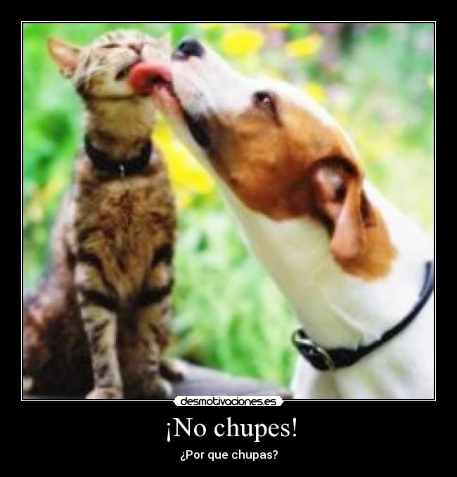 ¡No chupes! -