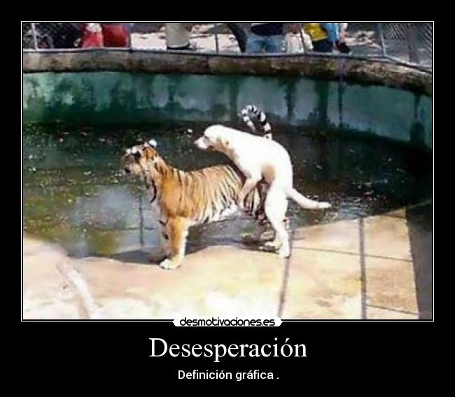 Desesperación - Definición gráfica .