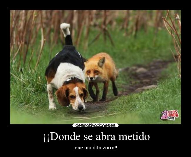 ¡¡Donde se abra metido - 
