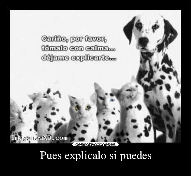 Pues explicalo si puedes -