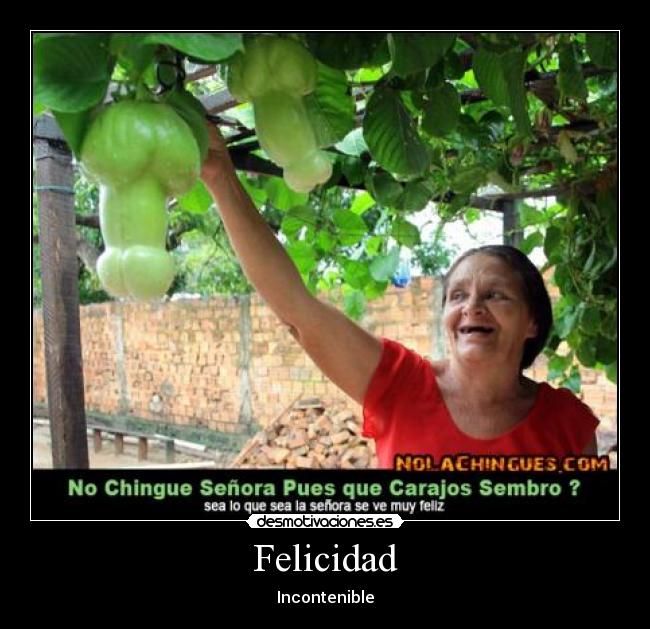 Felicidad - 