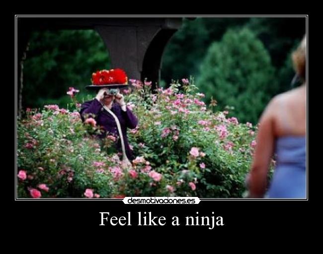 Feel like a ninja - 