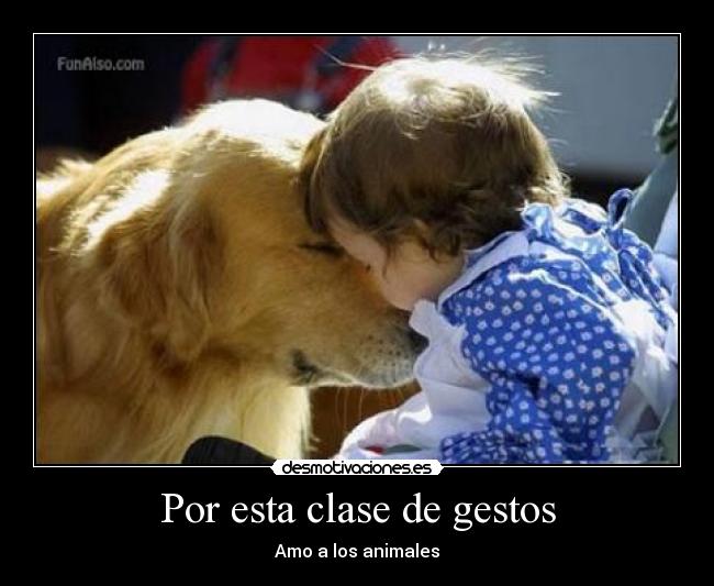 Por esta clase de gestos - 