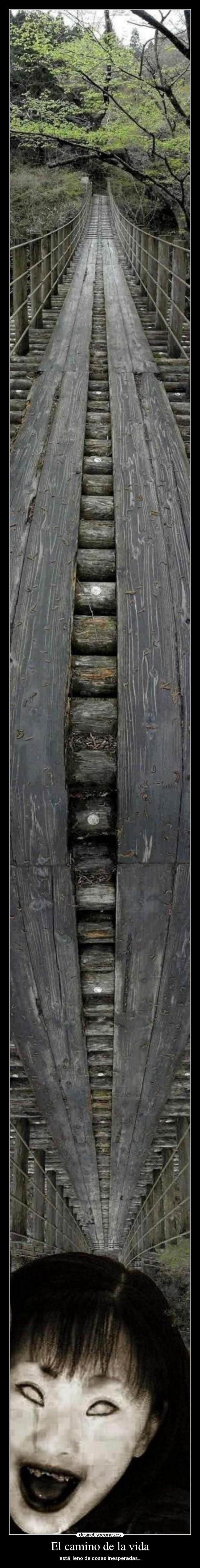 El camino de la vida -