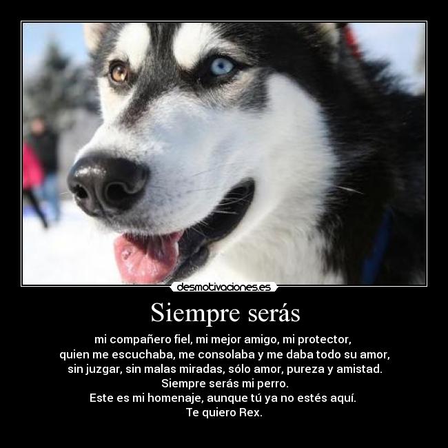 Siempre serás - mi compañero fiel, mi mejor amigo, mi protector, 
quien me escuchaba, me consolaba y me daba todo su amor,
sin juzgar, sin malas miradas, sólo amor, pureza y amistad.
Siempre serás mi perro.
Este es mi homenaje, aunque tú ya no estés aquí. 
Te quiero Rex.
