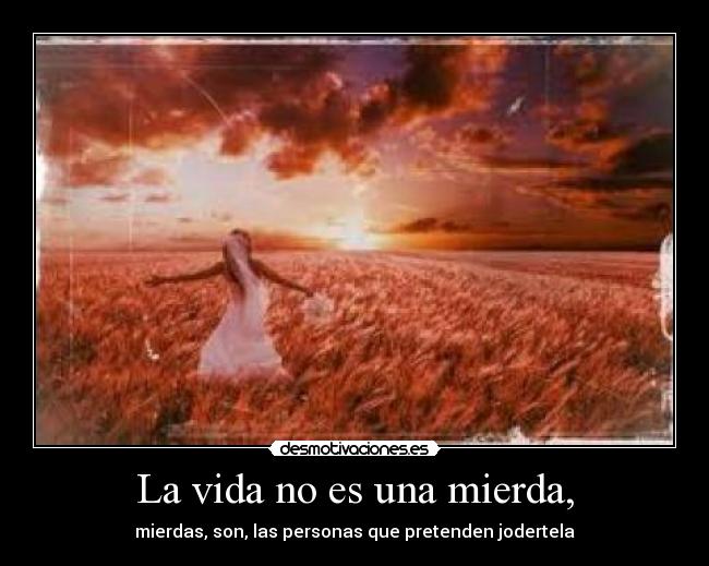 La vida no es una mierda, - mierdas, son, las personas que pretenden jodertela