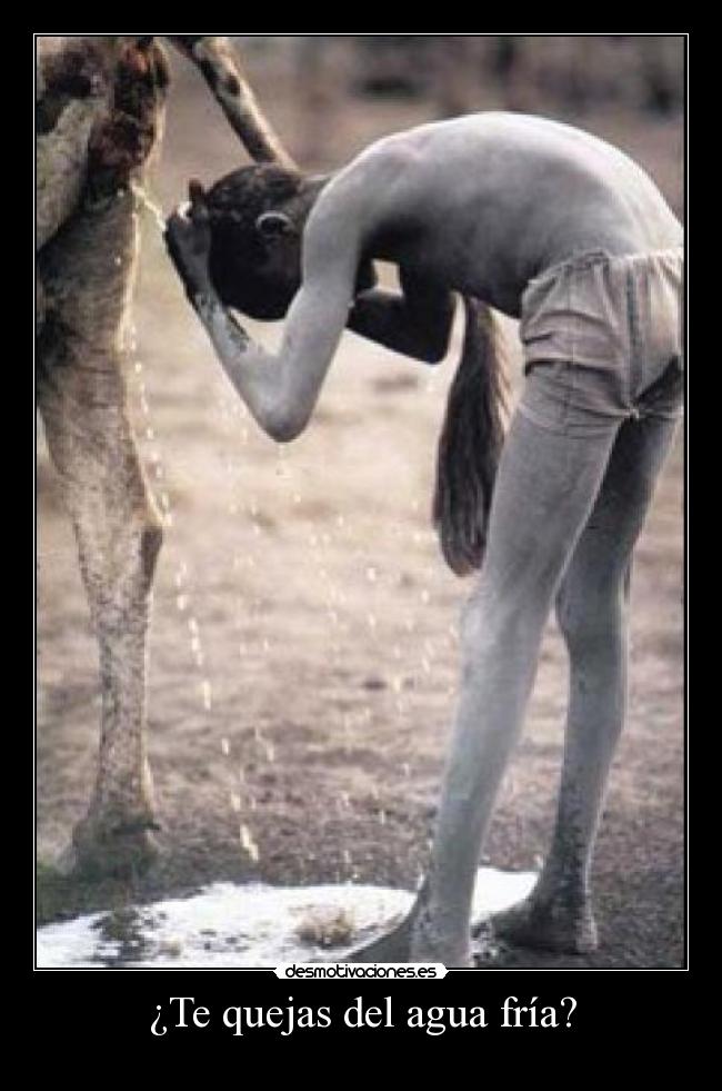 ¿Te quejas del agua fría? - 