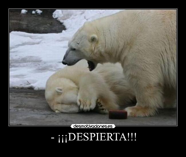 - ¡¡¡DESPIERTA!!! - 