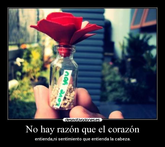 No hay razón que el corazón - entienda,ni sentimiento que entienda la cabeza.