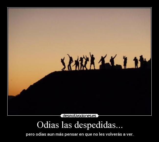 Odias las despedidas... - pero odias aun más pensar en que no les volverás a ver.