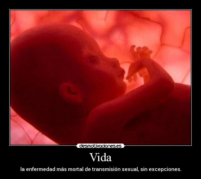 Vida - la enfermedad más mortal de transmisión sexual, sin excepciones.