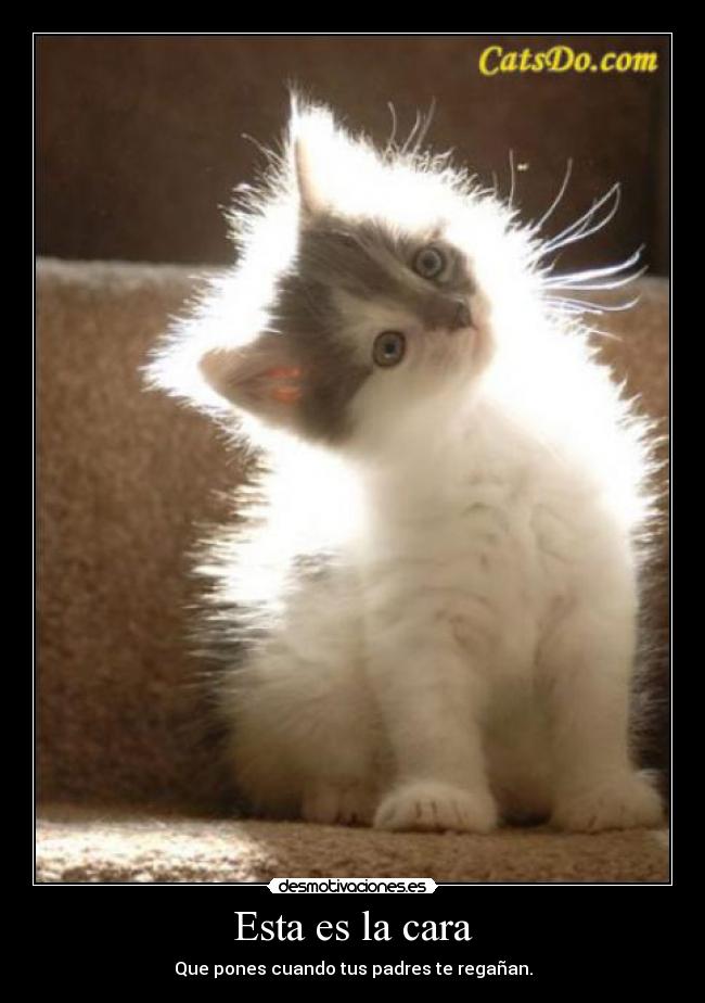 Esta es la cara - Que pones cuando tus padres te regañan.