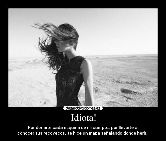 Idiota! - 