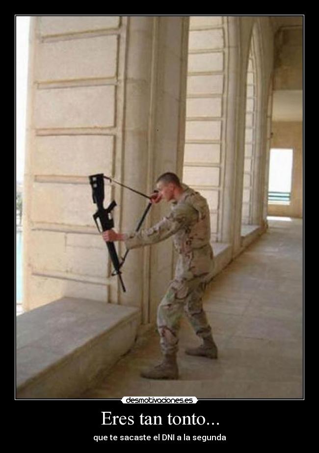 Eres tan tonto... - que te sacaste el DNI a la segunda