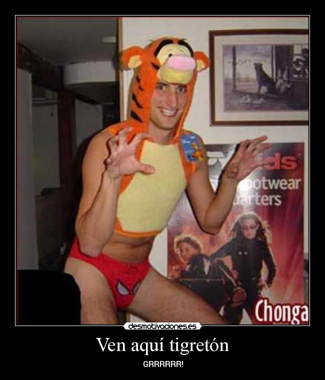 Ven aquí tigretón - GRRRRRR!