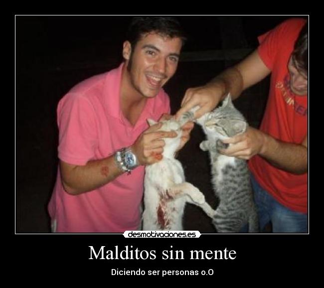 Malditos sin mente - 