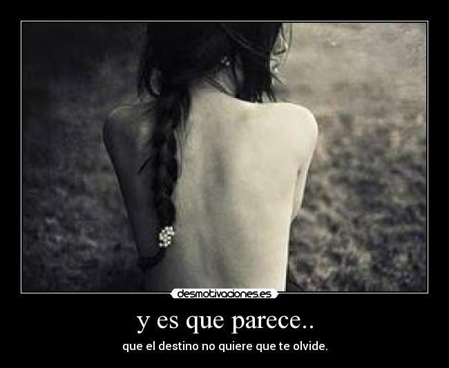 y es que parece.. - 