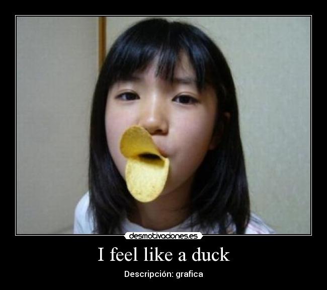 I feel like a duck - 
