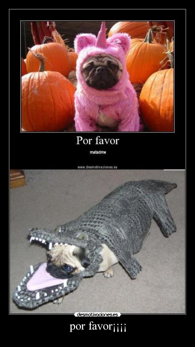 por favor¡¡¡¡ -