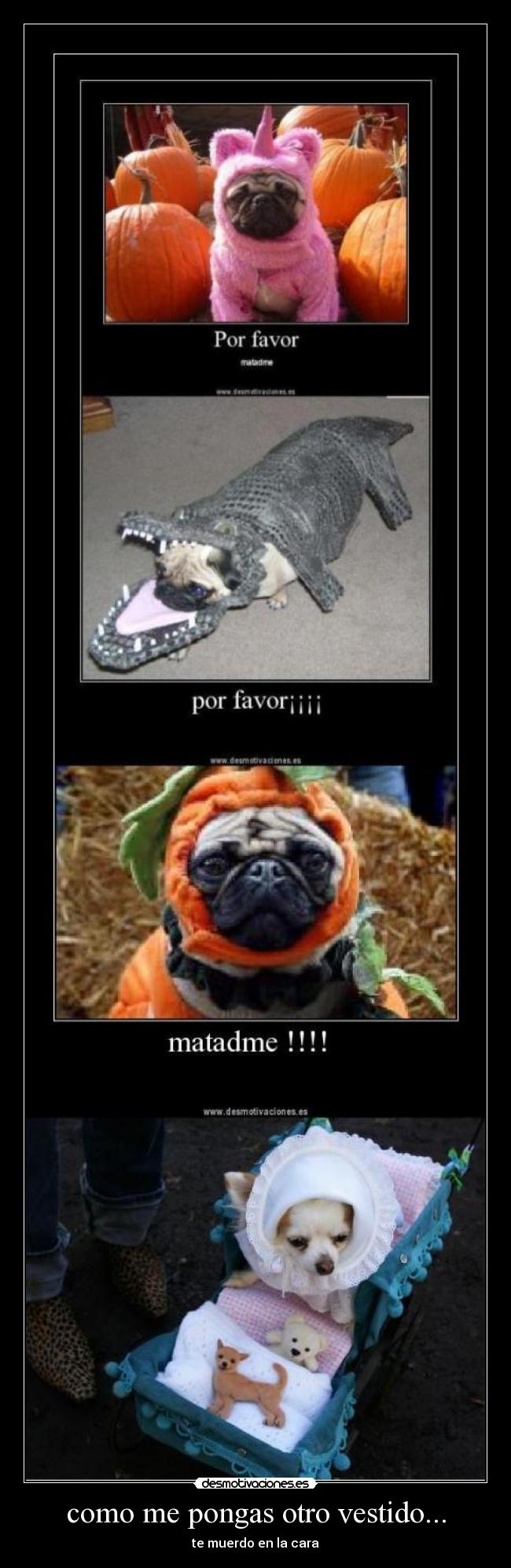 como me pongas otro vestido... - te muerdo en la cara