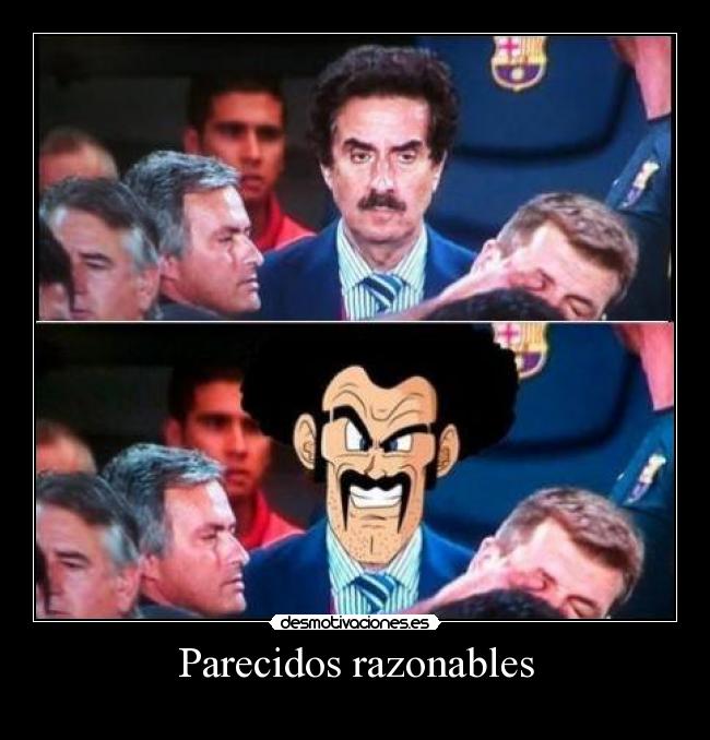 Parecidos razonables -