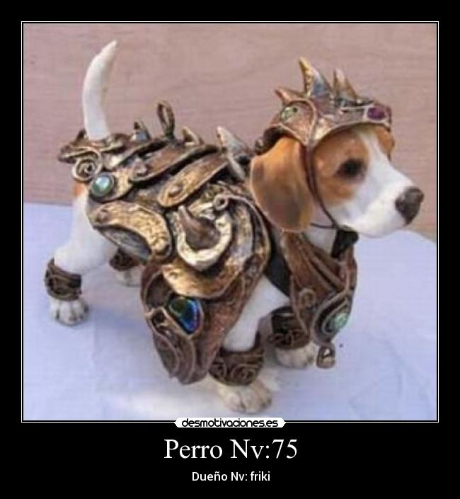Perro Nv:75 - Dueño Nv: friki