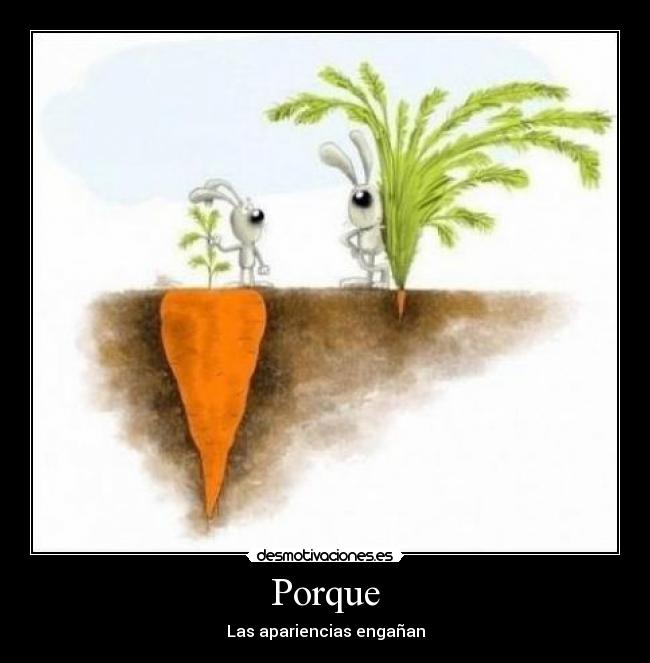 Porque - Las apariencias engañan