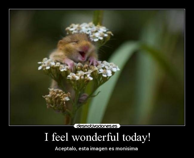 carteles askdj desmotivaciones