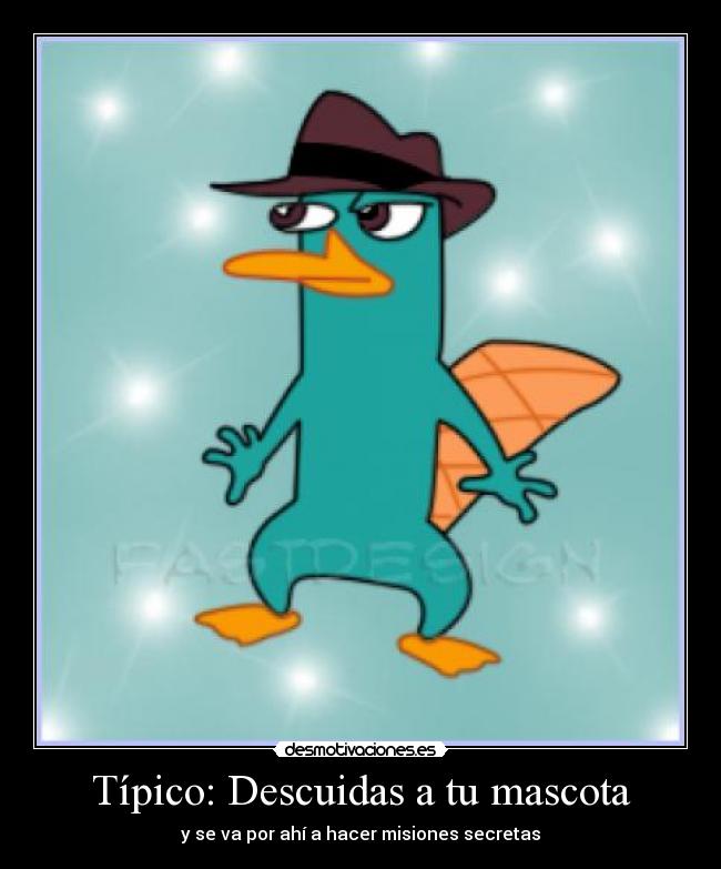 Típico: Descuidas a tu mascota -