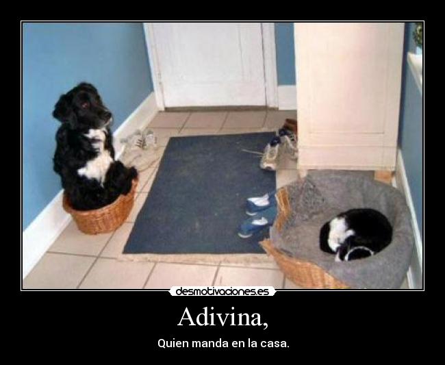Adivina, - Quien manda en la casa.