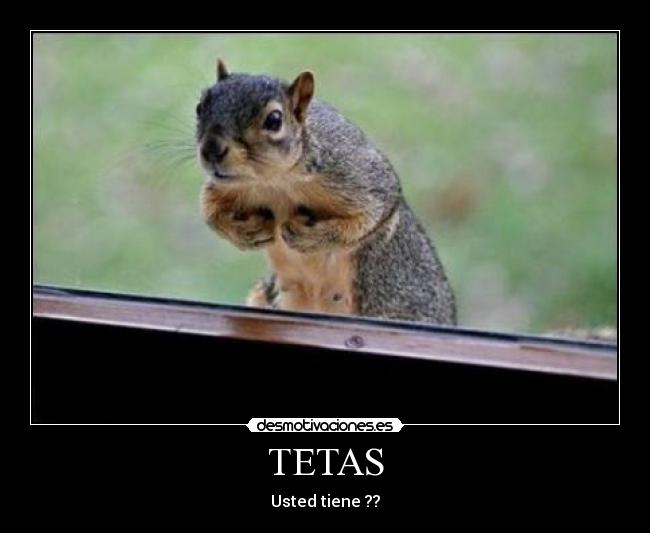 carteles tetas tetasustedtieneardillas desmotivaciones