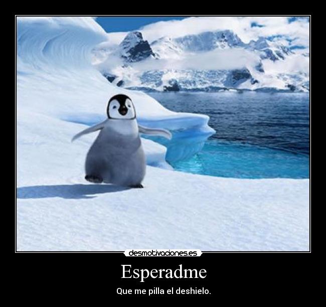 carteles pinguino deshielo hielo agua desmotivaciones