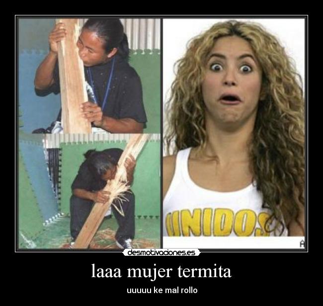laaa mujer termita -