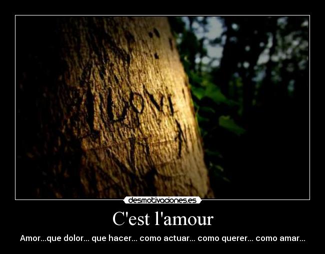 Cest lamour - Amor...que dolor... que hacer... como actuar... como querer... como amar...