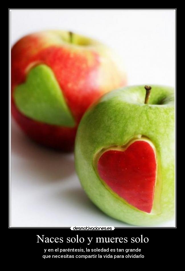 carteles comparte vida desmotivaciones