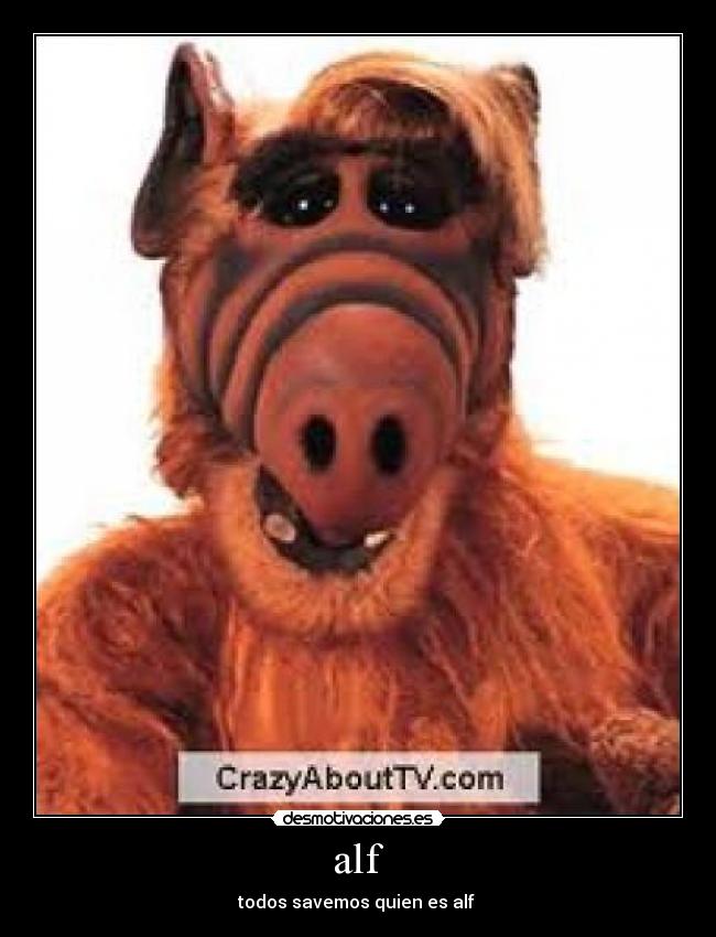 alf - todos savemos quien es alf