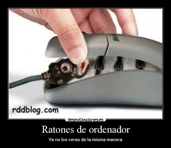 Ratones de ordenador - Ya no los veras de la misma manera