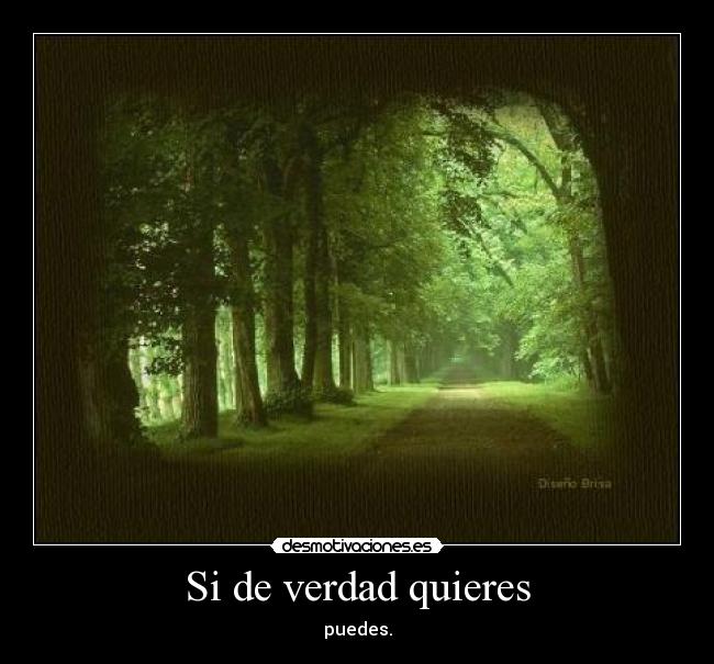 Si de verdad quieres -