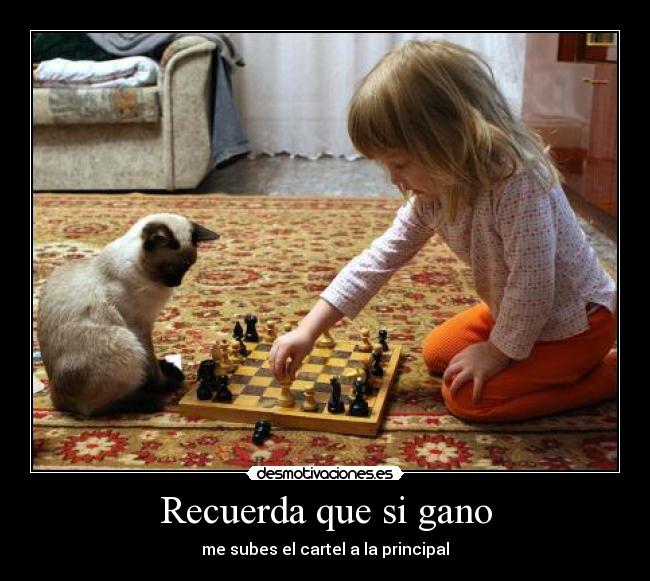 Recuerda que si gano -